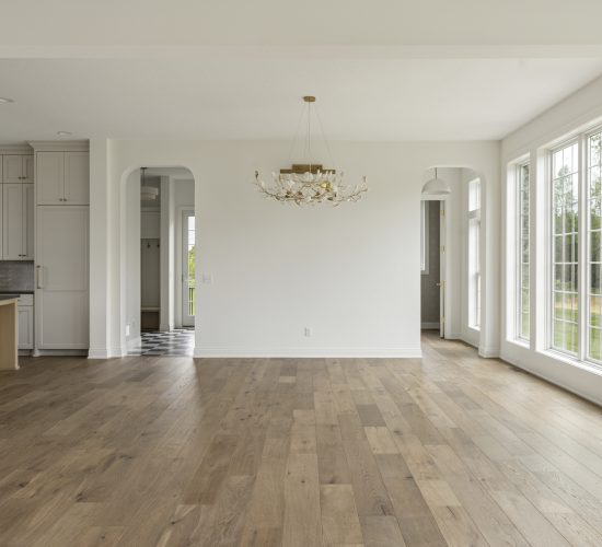 Gonyea Custom Homes 47th Pl N, Plymouth 019
