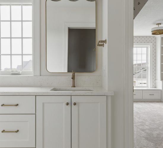 Gonyea Custom Homes 47th Pl N, Plymouth 051
